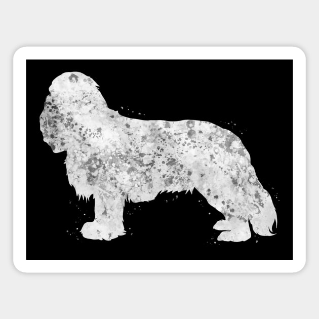 Cavalier King Charles Spaniel dog Magnet by Yahya Art